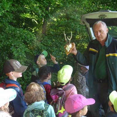 Auf Spurensuche im Wald – Ein lehrreicher Ausflug mit dem Förster