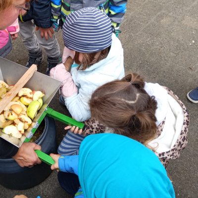 Die Eulen stellen Apfelsaft her
