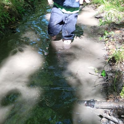 Naturwoche der Eulen